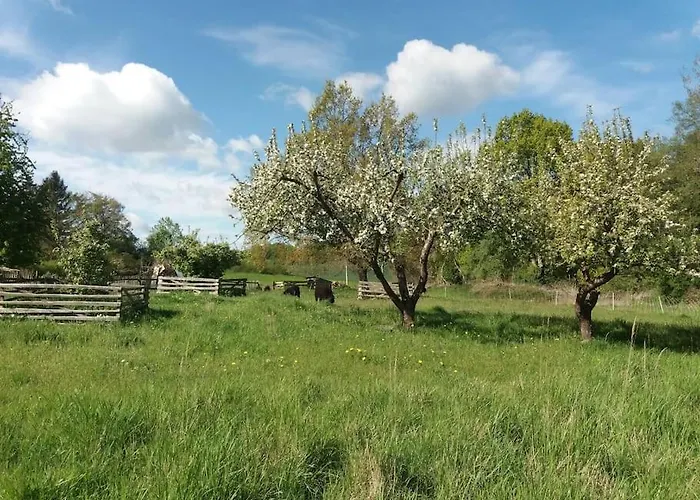 Neue Moderne In Der - Peter's View Apartment *