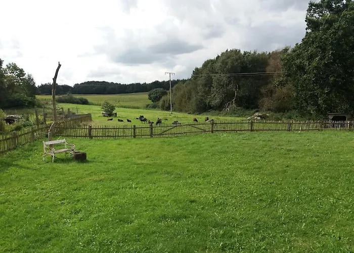 Neue Moderne In Der - Peter's View Babelin