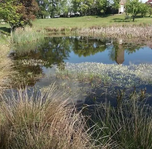 Neue Moderne In Der - Peter's View * Babelin